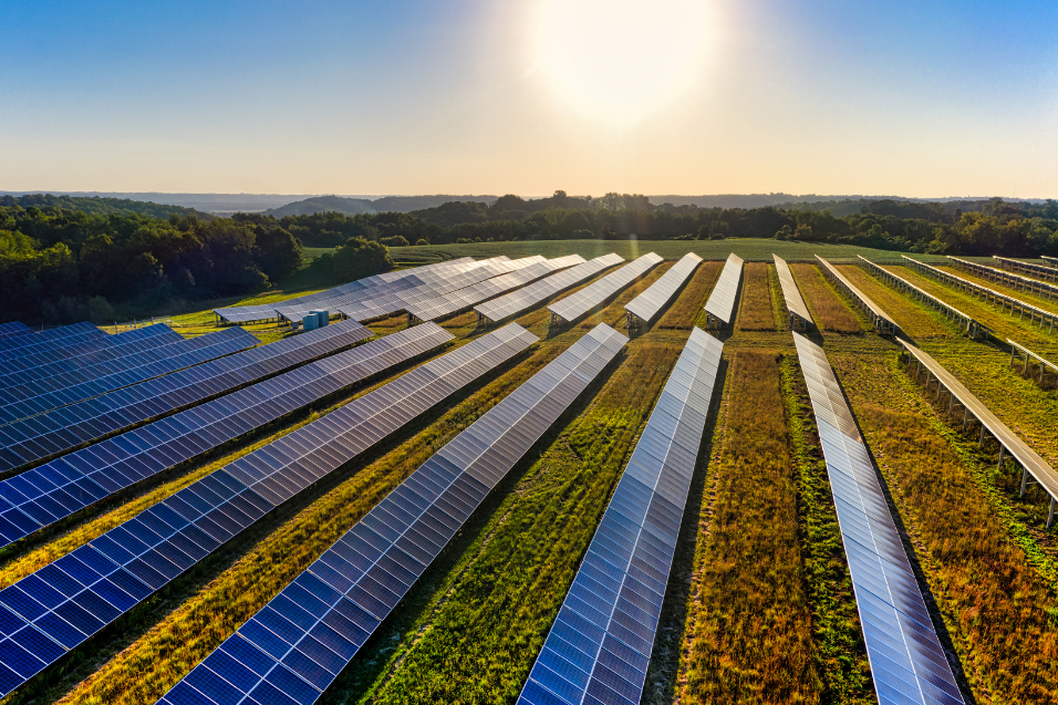 As maiores vantagens de gerar sua própria energia solar no campo